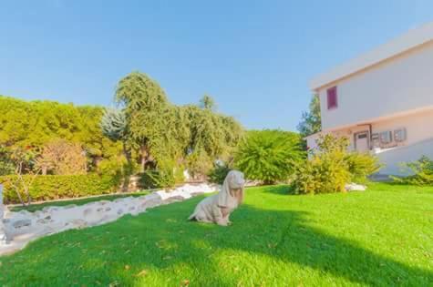 Paradise Beb Giovinazzo Exterior foto